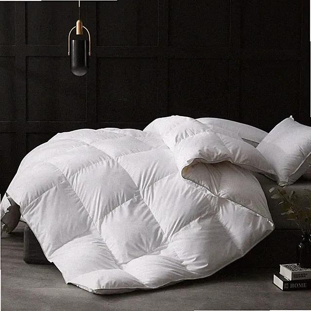 APSMILE Luxurious Feathers Down Full Queen Duvet Insert Comforter, White