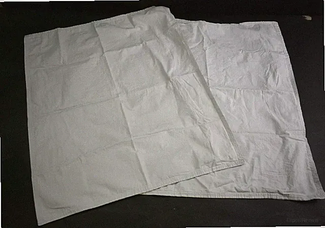 Nordstrom Rack Beige 400 Thread Count King Pillowcase Set 40 X 20 Set of 2 Shams